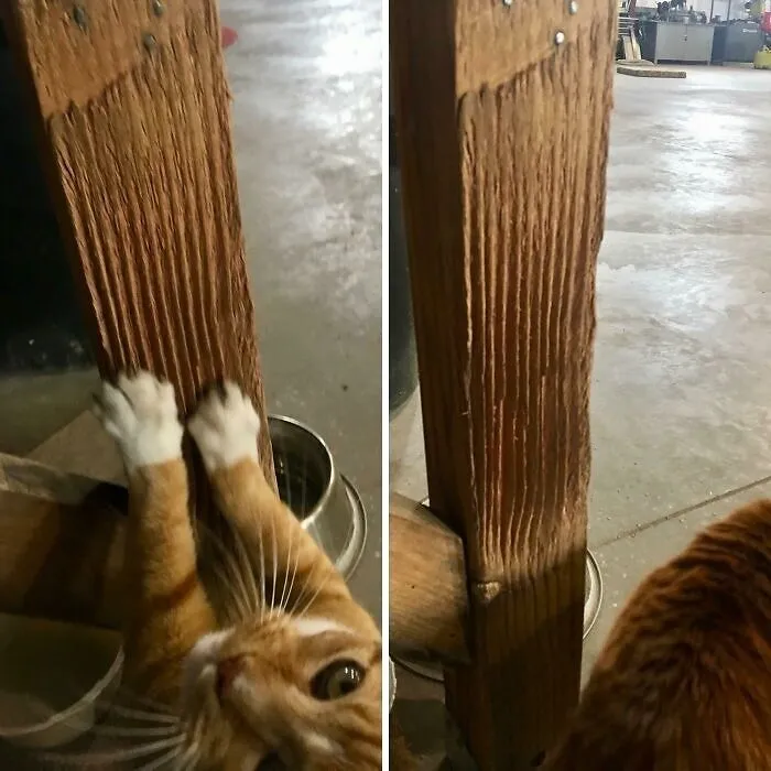 14 Years Of Scratches