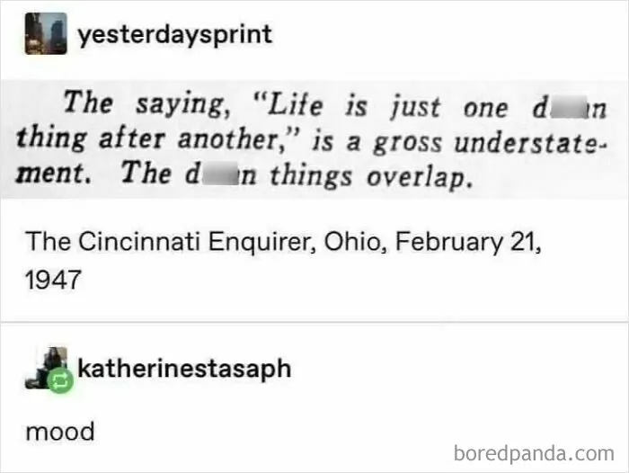 50 Hilarious Memes For People Who Might Have Given Up On Life—But With Humor (New Pics)