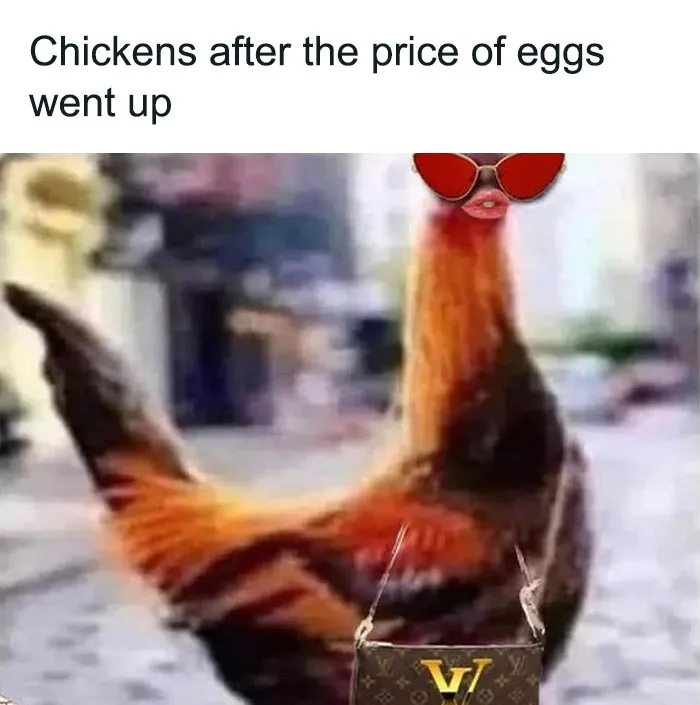 41 Of The Best Food-Related Memes, Published By This ‘Food Talk’ Page On Facebook