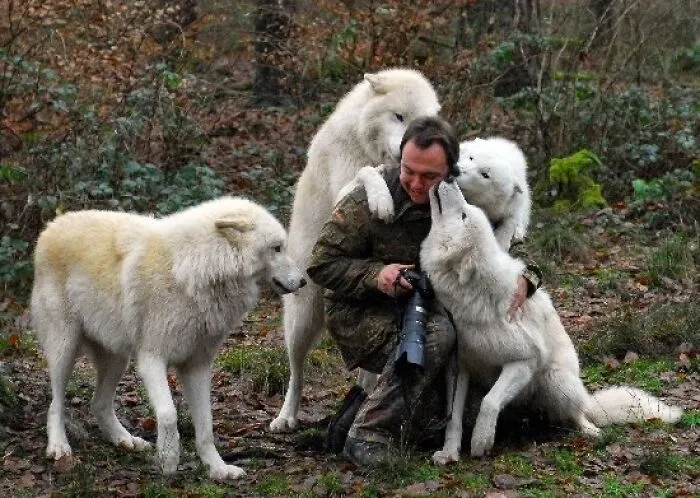 21 Funny Moments When Animals Disturbed Wildlife Photographers At Work