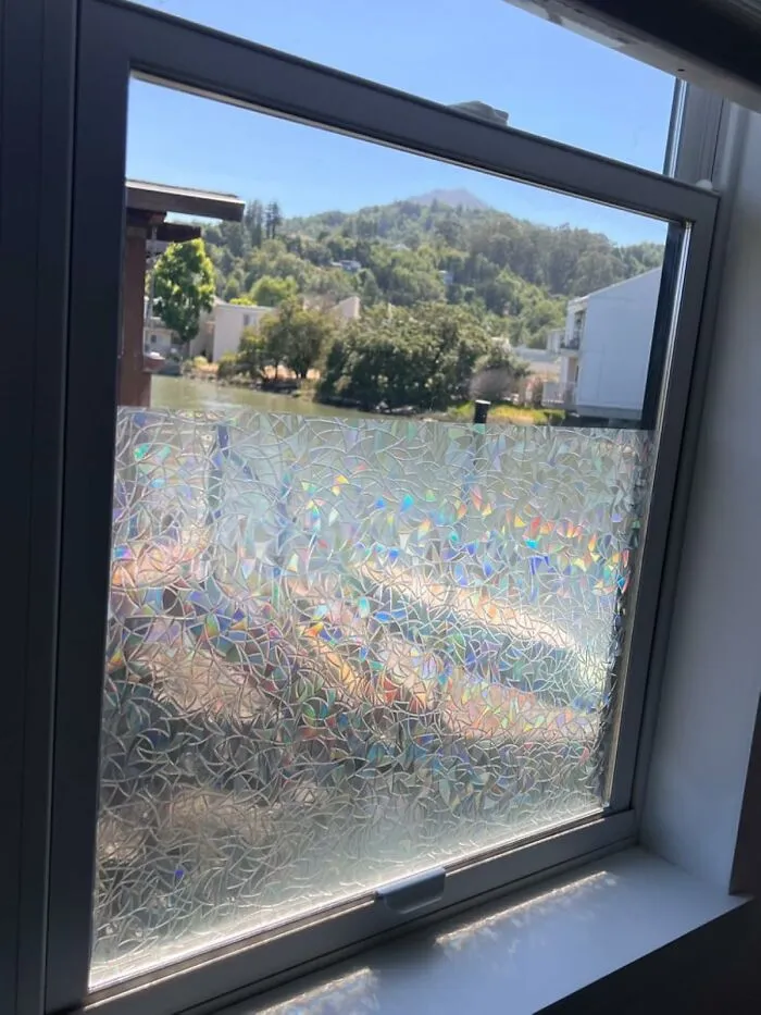 Add A Pop Of Color And A Layer Of Discretion To Your Windows With The Vibrant, Easy-To-Apply <a Style="Display:inline;" Href="Https://Www.amazon.com/Rabbitgoo-Privacy-Rainbow-Decorative-Non-Adhesive/Dp/B01n20yr6b?ie=utf8&th=1&linkcode=ll1&tag=bpelephant-20&linkid=977e863cb18df208f7e2cec1cc4e8130&language=en_us&ref_=as_li_ss_tl" Target="_blank"><span Style="Font: Inherit; Color: #d74b1f;"> Rainbow Window Privacy Film</Span>, Filtering The Outside World While Keeping Your Interior Views Private