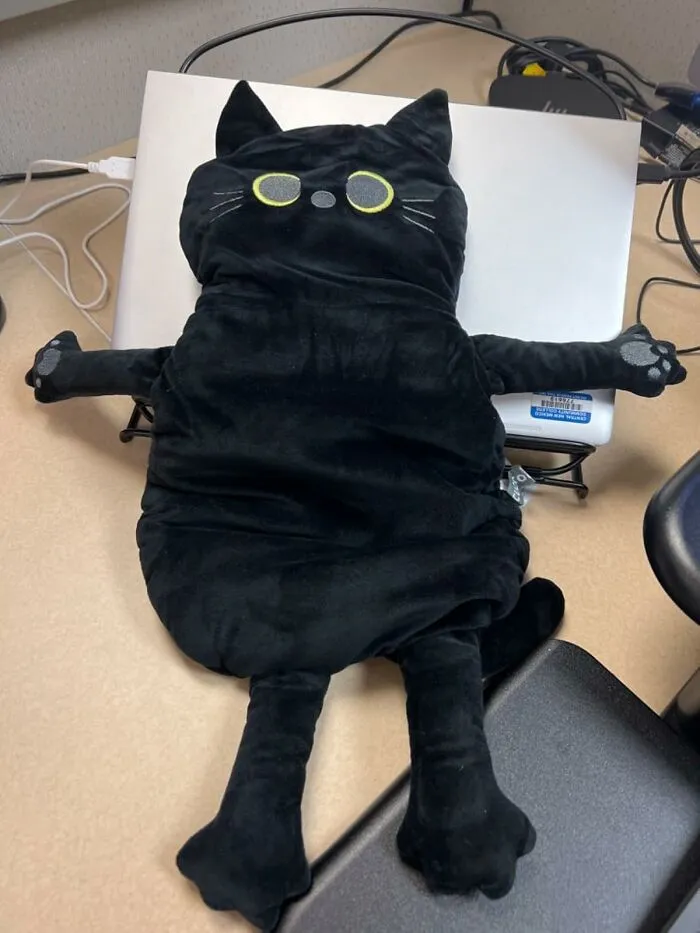 Your Cat Just Got Jealous Of This <a Style="Display:inline;" Href="Https://Www.amazon.com/Microwave-Heating-Shoulder-Muscles-Microwavable/Dp/B0bcfhy2lq?ie=utf8&th=1&linkcode=ll1&tag=bpemu-20&linkid=cf9eafd3dcb6caaf69fb1dfcc5a9ae5b&language=en_us&ref_=as_li_ss_tl" Target="_blank"><span Style="Font: Inherit; Color: #d74b1f;"> Microwavable Cat Shaped Heating Pad</Span> Because It’s Cuter And Actually Warms You Up