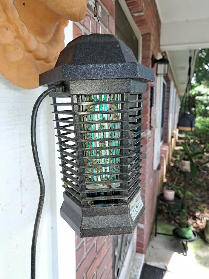 Outdoor bug zapper hanging on a porch, a spring must-have for a dream backyard.