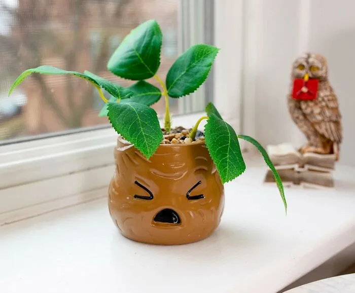 Careful, It's Screaming... With Cuteness! The <a Style="Display:inline;" Href="Https://Www.amazon.com/Silver-Buffalo-Mandrake-Ceramic-Hp2407eh/Dp/B08mjnqn2j?th=1&linkcode=ll1&tag=bpfrog-20&linkid=7252326fa4dfbee319223fe1929744f1&language=en_us&ref_=as_li_ss_tl" Target="_blank"><span Style="Font: Inherit; Color: #d74b1f;"> Mandrake Planter </Span> Brings A Magical Touch To Your Plants, Just Beware Of Its Piercingly Adorable Roots