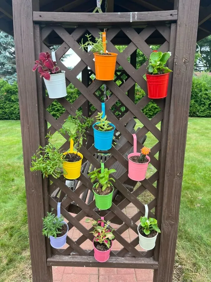 <a Style="Display:inline;" Href="Https://Www.amazon.com/Kinglake-Hanging-Balcony-Planter-Detachable/Dp/B06x9g9pmb?ie=utf8&th=1&linkcode=ll1&tag=bpparrot-20&linkid=b29befbbf4eebba5393773645b76dc62&language=en_us&ref_=as_li_ss_tl" Target="_blank"><span Style="Font: Inherit; Color: #d74b1f;"> Colorful Planter Pots With Hooks </Span> Are The Vibrant Vessels That Will Add A Pop Of Personality To Your Patio And Make Your Plants Feel Like The Life Of The Party