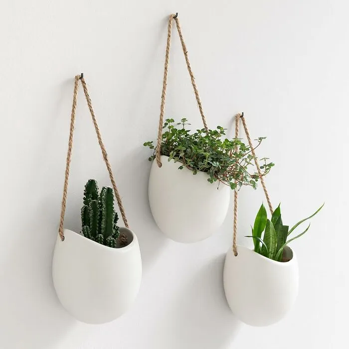  Elevate Your Indoor Greenery With Charming <a Style="Display:inline;" Href="Https://Www.amazon.com/-/En/Dp/B07tyqj9cr?dib=eyj2ijoimsj9.vhkmspr0iphnlsndwbqs37cshbt9stl7dwsdymi4bana9jz_u0npa33ftp-Xklftdw5yv514j-5wahdlsfuqpxfz7xy_yy9a3hziscxapghz9ag0sniotv-M1acrzcl61gaswa064dkwq61oe7nip_e4n-Pxthez1xnsxw0cr1p1yxmyoglwc3iuedr-Msbju12qjkvxrth8akffzxy37ber1qpt8lcykxdcfdbtdg9qu9g817ueewhjrf7oe_h8qj93bm-Hput0htgvctgdhurzma1giy2z2in8w1qxetgi0gczhf9pu_ofxm9kjffhotvv6sc3fnra-G4yrfs12fhcezqfewr1sc_dopysh6vuxtcehql25xbf9_lk6tk-Pgela5qmn-Cll4zjg0rjs1fvp5eym2jjwgvp0ohtunfsazrztp0e4e7nyuvapl6v.oa2qp-Awj99cpeurskwlvwh5wywwumwrsuuvdcj3gk0&dib_tag=se&keywords=plant%2bhanger&qid=1742894438&sr=8-48&th=1&linkcode=ll1&tag=bppelican-20&linkid=38c79d173b1e8c685105b567c783f2b5&language=en_us&ref_=as_li_ss_tl" Target="_blank"> <span Style="Font: Inherit; Color: #d74b1f;"> Ceramic Hanging Planters </Span> That Bring A Burst Of Freshness To Any Room