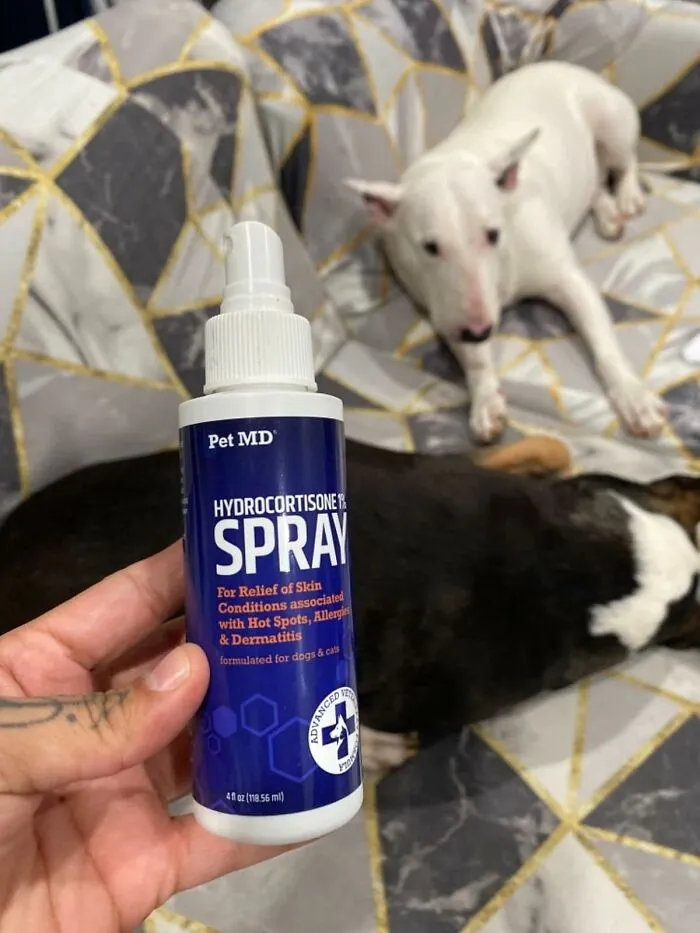 Give Your Furry Friends Some Sweet Relief With The <a Style="Display:inline;" Href="Https://Www.amazon.com/Pet-Md-Hydrocortisone-Spray-Horses/Dp/B083781bsy?ie=utf8&linkcode=ll1&tag=bpapple-20&linkid=fb78ca1efdeeb928a441c924bff187de&language=en_us&ref_=as_li_ss_tl" Target="_blank"><span Style="Font: Inherit; Color: #d74b1f;"> Allergy Spray For Pets</Span>, A Gentle Way To Soothe Itchy Skin 