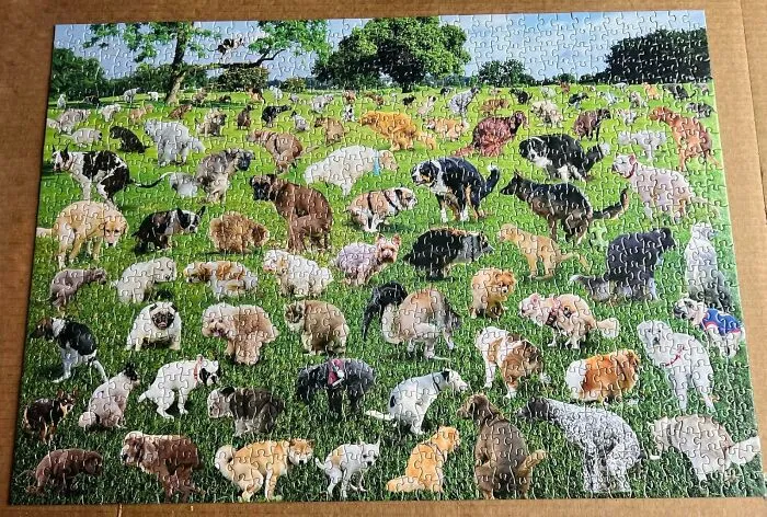 This  <a Style="Display:inline;" Href="Https://Www.amazon.com/1000-Piece-Puzzle-Pooping-Puppies/Dp/B08rr1sw1w?ie=utf8&th=1&linkcode=ll1&tag=bpbee-20&linkid=fe2444ad185bea0e02738e9b82b483ad&language=en_us&ref_=as_li_ss_tl" Target="_blank"><span Style="Font: Inherit; Color: #d74b1f;"> Pooping Dog Puzzle </Span> Is Proof That Even Your Dog’s Mess Can Be A Wholesome Family Activity