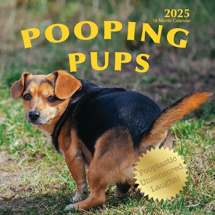 This <a Style="Display:inline;" Href="Https://Www.amazon.com/Hangable-Calendar-Photography-Organizing-Planning/Dp/B0d79tmp8t?crid=36k9agkuutlos&dib=eyj2ijoimsj9.b0ujgj3vq4yuepxoigcx5kkpgq1-D-Ckuogdxg7wobwhalhwsoyzn5eeddws-Qzpbn2nj8mfg9p5zndqeiazevj89sxu1mqvb7xxgngqgdrxhjrb2t4wqzws0n1jpedzymqg0rvfmzjt44-Cuhn1m_jwkoqnzhrzkaqtb1isejw9euiwe0il2-7pbz6y55x68pl0o8bu0nuval347gg93kzcvtfui8_ldjuzdpnbn5t-Mjjydjet9oapzdebc_zvomqs9yo8qd55rdcqyppkg8y0jnwbs0swp-Kolkxd_5o.mouy5aataox7gegn9_9gi2houzzxnudieeywuygu_z8&dib_tag=se&keywords=pooping%2bdog%2bcalendar&qid=1741081357&sprefix=pooping%2bdog%2bcalander%2caps%2c203&sr=8-1-Spons&sp_csd=d2lkz2v0tmftzt1zcf9hdgy&th=1&linkcode=ll1&tag=bpbee-20&linkid=cfec549ddd8e06e5f7e559ec5377bc66&language=en_us&ref_=as_li_ss_tl" Target="_blank"> <span Style="Font: Inherit; Color: #d74b1f;"> Pooping Pups Wall Calendar </Span> Ensures Every Month Is A Reminder That Even Puppies Have Their Daily Business To Handle