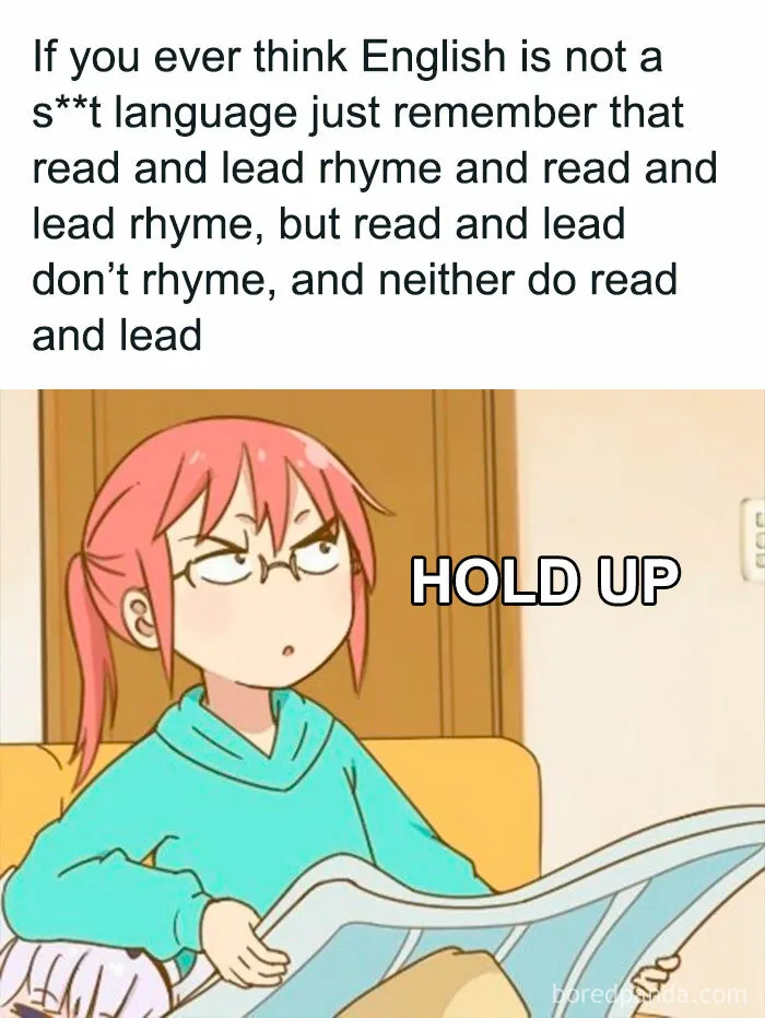 Thanks I Hate This Bulls**t Language