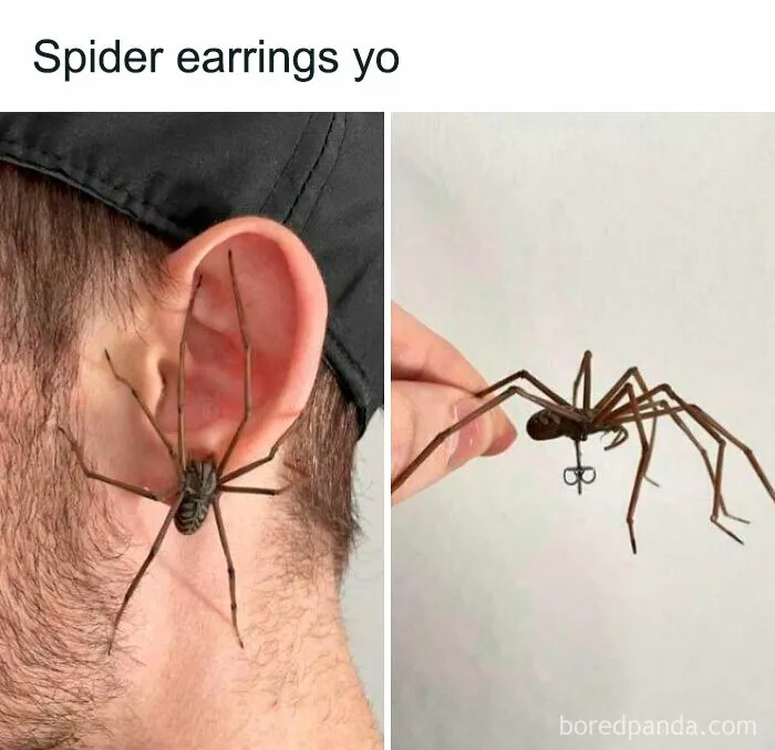 Thanks I Hate Spider Earrings