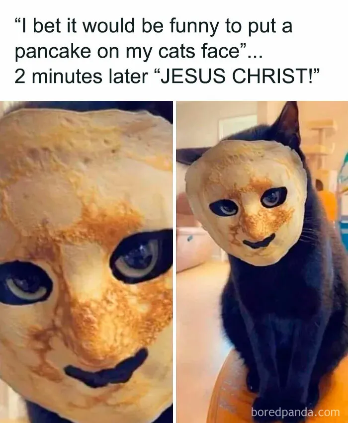 Thanks I Hate Cats With Pancakes
