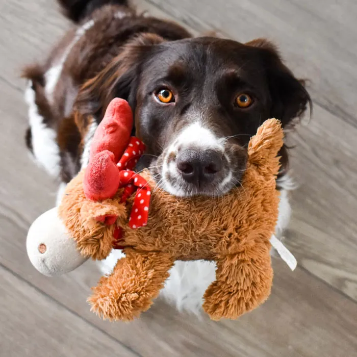 Your Dog's Toys Are A Hotbed Of Germs And Grime, But These <a Style="Display:inline;" Href="Https://Www.amazon.com/Kong-Classic-Durable-Natural-Rubber/Dp/B000ayn7lu?ie=utf8&th=1&linkcode=ll1&tag=bplion-20&linkid=d711951d4489a52a6195c766037f943f&language=en_us&ref_=as_li_ss_tl" Target="_blank"><span Style="Font: Inherit; Color: #d74b1f;"> Kong Dog Toys </Span> Are The Paw-Fect Solution - Made To Withstand The Roughest Of Playtime, And Even Better, They're Dishwasher Safe, So You Can Give Them A Sparkling Clean And Keep The Germs At Bay 