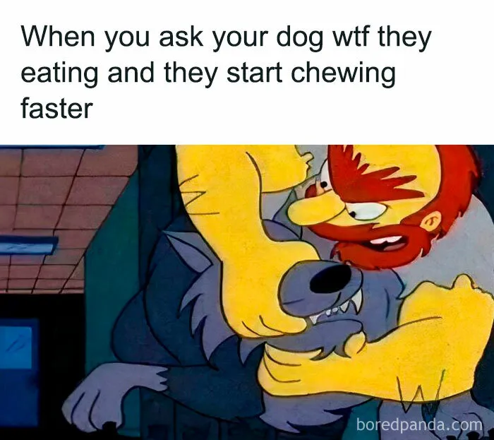50 Memes That Made The Internet Laugh And Might Make You Chuckle Too