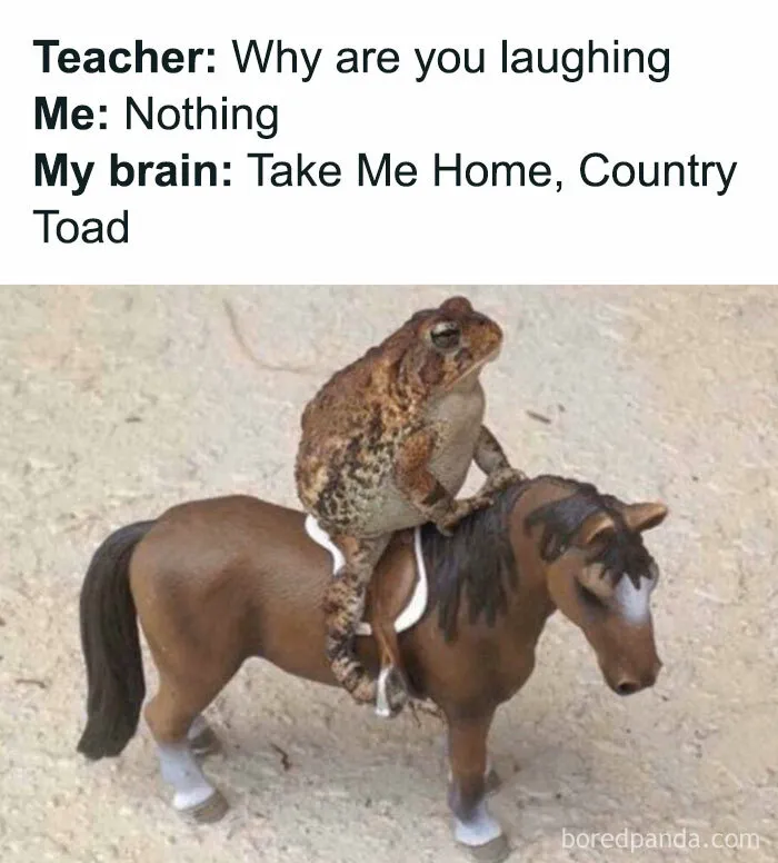 50 Memes That Made The Internet Laugh And Might Make You Chuckle Too