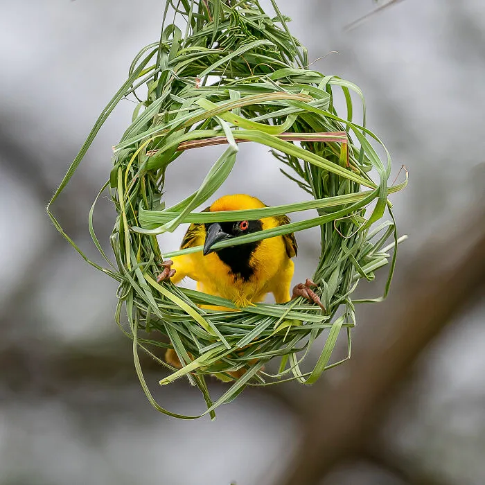 This Photographer Captures Nature’s Quiet Beauty Through His 39 Powerful Wildlife Photos