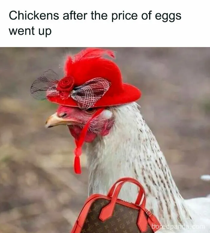 Funny-Random-Memes-Drunkalready