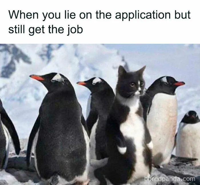 50 Posts That Are So Hilarious You Might Want To Share Them With Your Friends