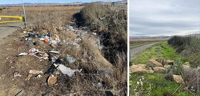 On Christmas, I Returned To A Place I Had Cleaned Up A Year Ago. Nature Has Reclaimed Back Its Land. This Is A Successful Cleanup I Will Cherish Forever