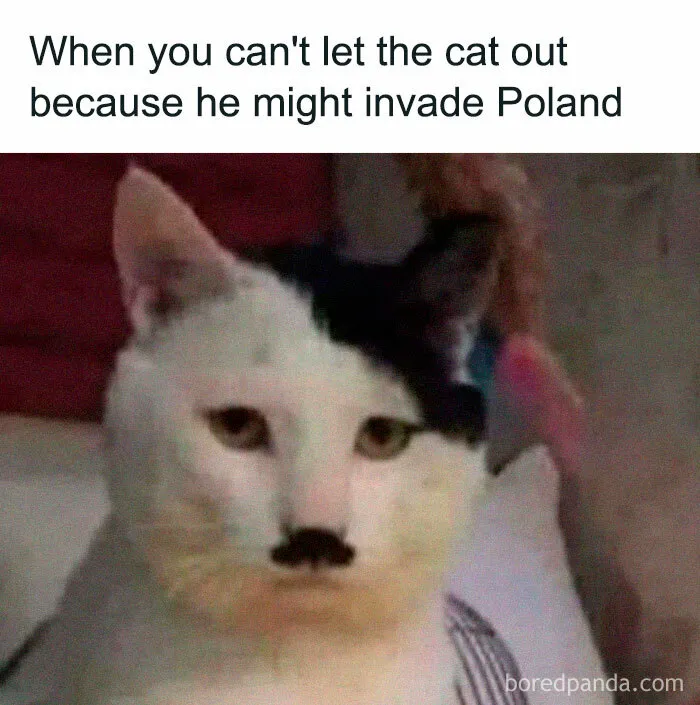 50 Memes That Made The Internet Laugh And Might Make You Chuckle Too