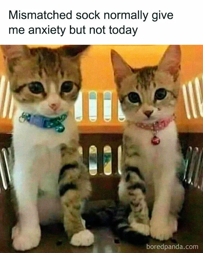 50 Memes That Made The Internet Laugh And Might Make You Chuckle Too
