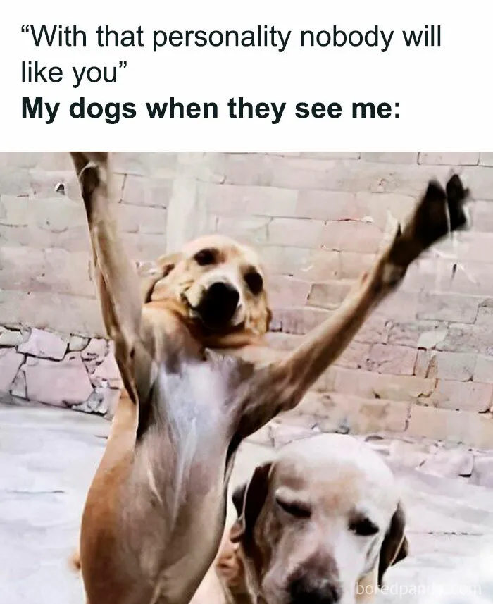 50 Memes That Made The Internet Laugh And Might Make You Chuckle Too