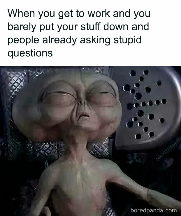 50 Memes That Made The Internet Laugh And Might Make You Chuckle Too