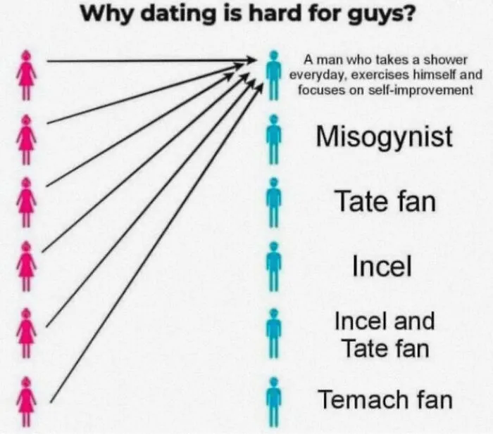 Chart humorously depicting dating challenges for men with text on types like "misogynist" and "incel."