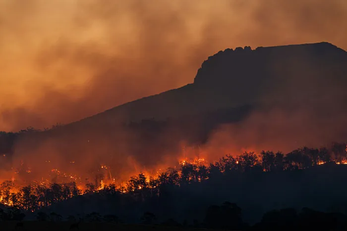 30 Things That Are Considered Normal That Are Ruining Humanity
