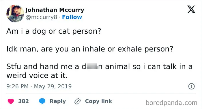 Dogs And Cats My Favorite Animals