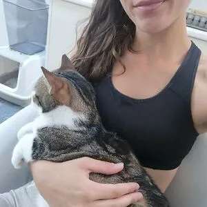 Tico