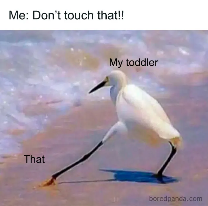 30 Mom Memes That Prove Every Mom Is One Spilled Drink Away From Losing It