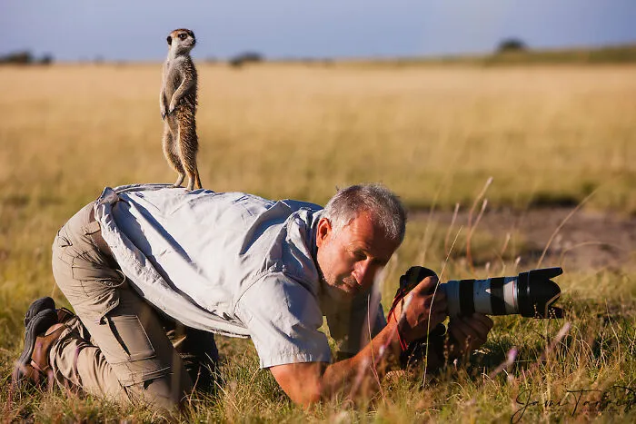 21 Funny Moments When Animals Disturbed Wildlife Photographers At Work
