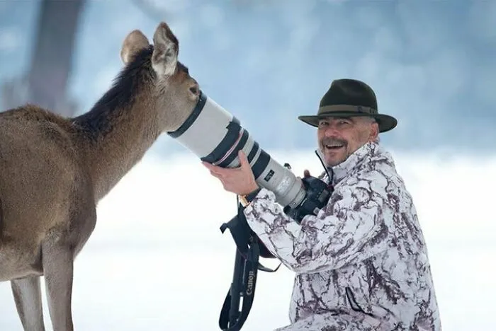 21 Funny Moments When Animals Disturbed Wildlife Photographers At Work