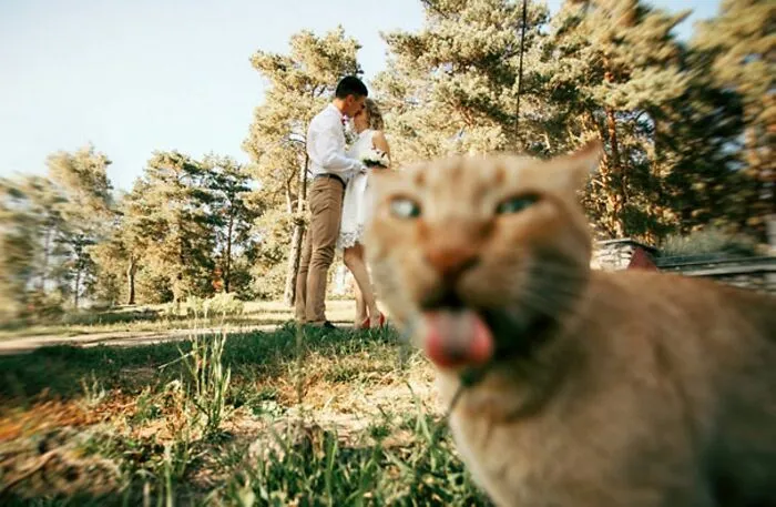 50 Times Animals Acted So Weird They Ended Up On The “Not My Animal” Page (New Pics)