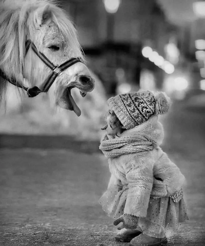 30 Captivating Street Photos That Showcase Life’s Unexpected Moments, As Shared On This IG Page (New Pics)