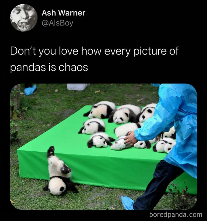 Just 50 Random But Hilarious Memes To See You Through Another Manic Week