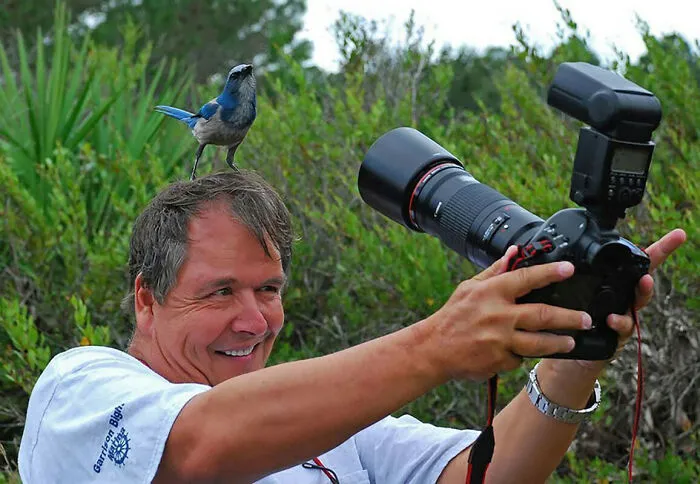 21 Funny Moments When Animals Disturbed Wildlife Photographers At Work