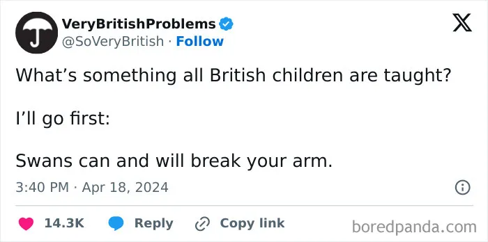 Text post about British childhood teaching that swans can break arms, highlighting a humorous British problem.