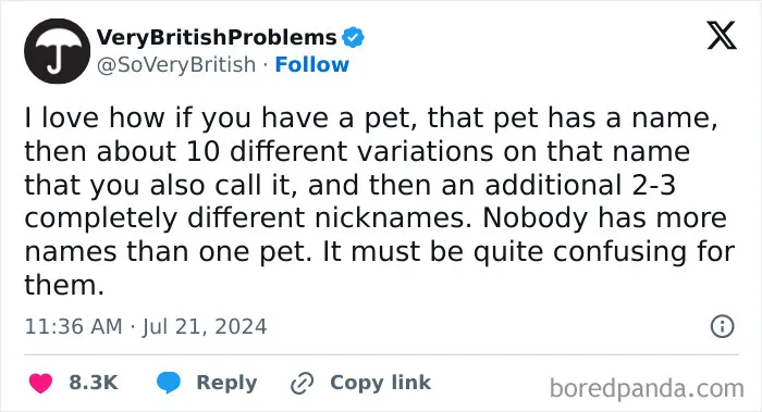 Text post humorously describing British problem of pets having multiple names and nicknames.