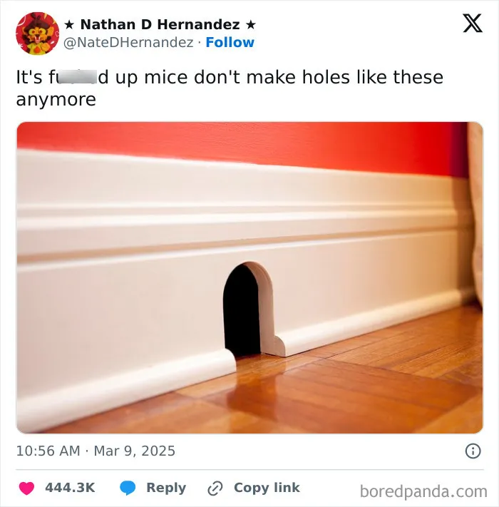 Humorous meme with a cartoon-like mouse hole in white baseboard.