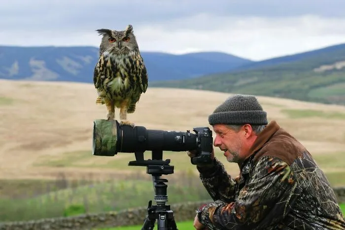 21 Funny Moments When Animals Disturbed Wildlife Photographers At Work
