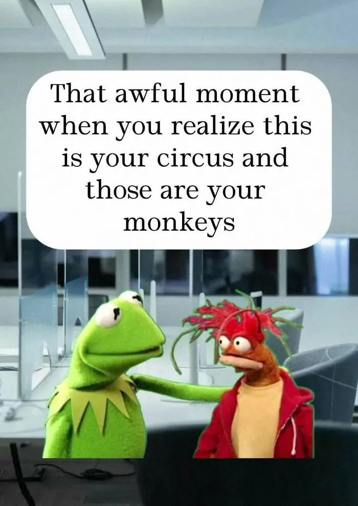 Own The Chaos