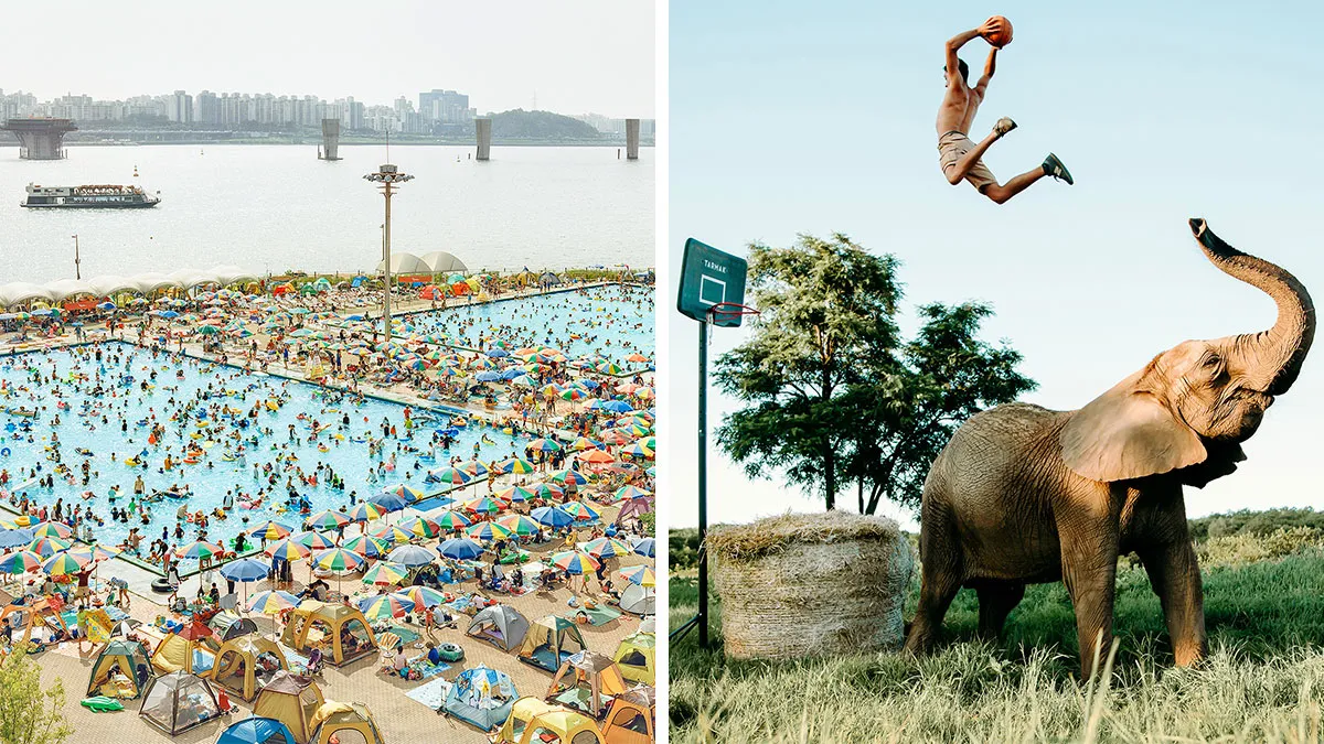 35 Powerful Photos From The 2024 IPA, Taken By Award-Winning Photographers
