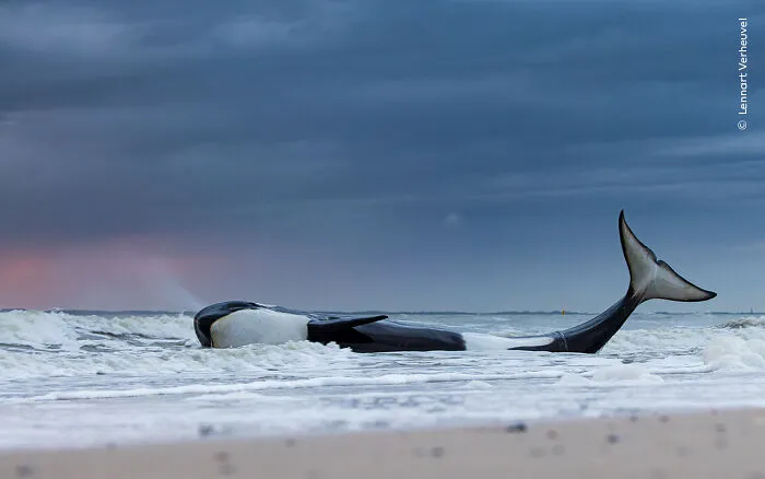 A Photographer Captures Nature’s Most Breathtaking Moments, And Here Are His 30 Best Shots
