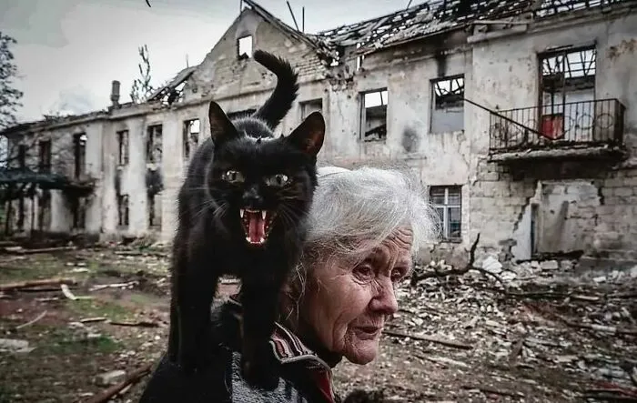 30 Captivating Street Photos That Showcase Life’s Unexpected Moments, As Shared On This IG Page (New Pics)