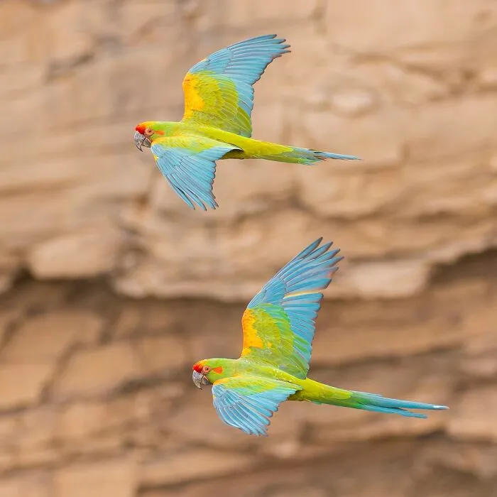A Photographer Captures Nature’s Most Breathtaking Moments, And Here Are His 30 Best Shots