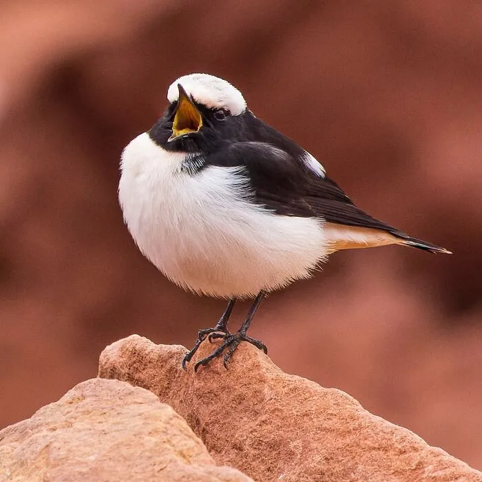 A Photographer Captures Nature’s Most Breathtaking Moments, And Here Are His 30 Best Shots