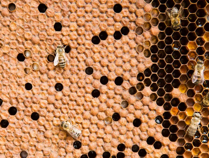 “Fish Smell In Your House”: 30 Potentially Life-Saving Facts Everyone Should Know