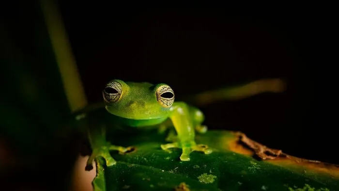 30 Unforgettable Wildlife Moments Captured By This Photographer